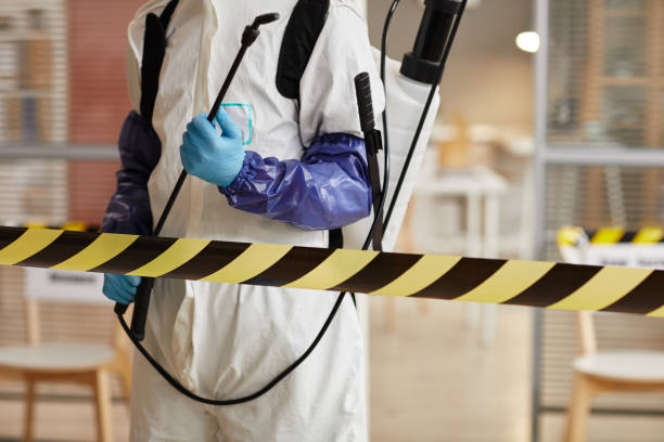 Professional Biohazard technician working in Crestline, CA